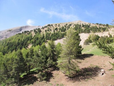Randonnée du  23/05/2017 à COSTE BELLE, COSTE FOLLE, IMG_2659 (Copier)