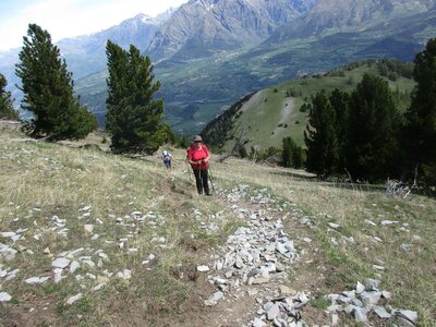 Randonnée du  23/05/2017 à COSTE BELLE, COSTE FOLLE, IMG_0384