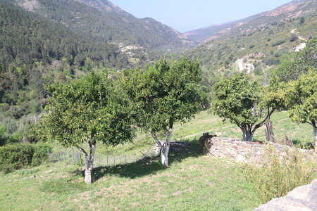 Corse Avril 2017, IMG_3944
