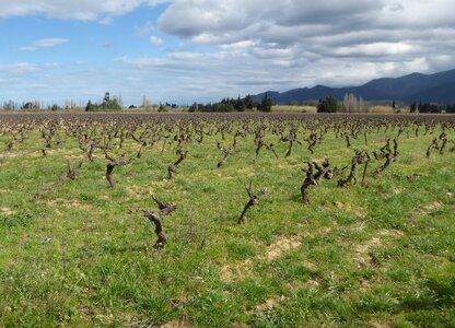 Roussillon1, P1010746
