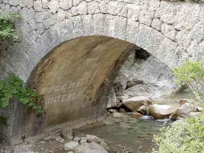 Randonnée du 31/05/2017 à Cheynet, DSCN1232
