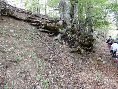 Randonnée du 31/05/2017 à Cheynet, DSCN1256