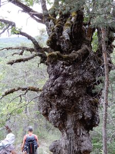 Randonnée du 31/05/2017 à Cheynet, DSCN1260
