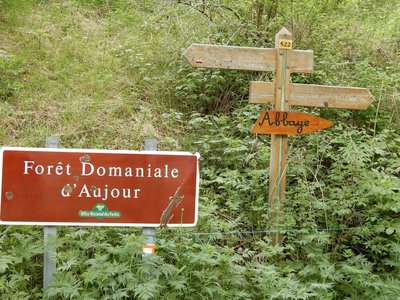 Randonnée du 31/05/2017 à Cheynet, DSCN1244