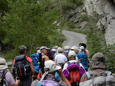 Randonnée du 31/05/2017 à Cheynet, DSCN1226