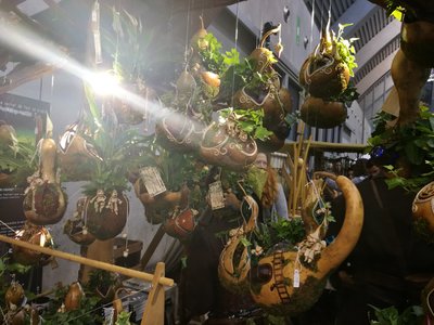 Belgique 2017 - Trolls , IMG_20170415_114138