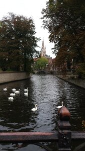 Bruges - Octobre 2016, 20161014_112338