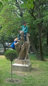 12- Journée de la Diversité à Arles, WP_20170601_12_47_39_Pro
