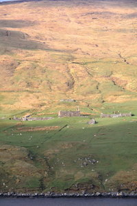Shetland Mai 2017, IMG_5856