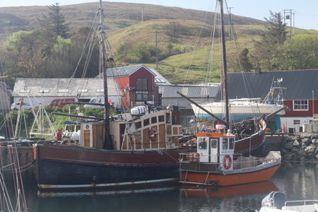 Shetland Mai 2017, IMG_5861
