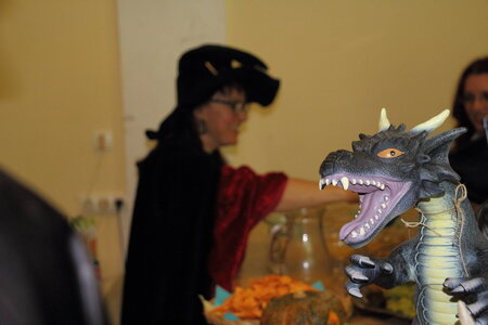 2017 - Soirée Harry Potter, IMG_4420
