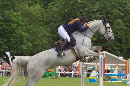 Jumping CSI*** Béthune 2017, IMG_9490