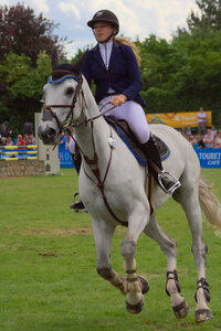 Jumping CSI*** Béthune 2017, IMG_9487