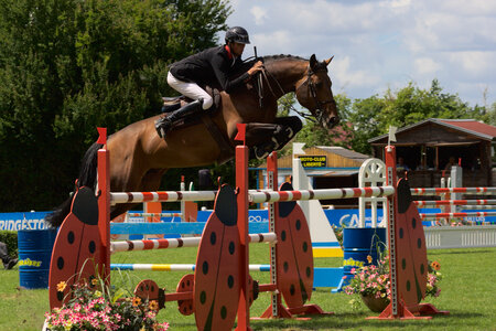 Jumping CSI*** Béthune 2017, IMG_8947