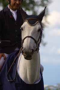 Jumping CSI*** Béthune 2017, IMG_9845