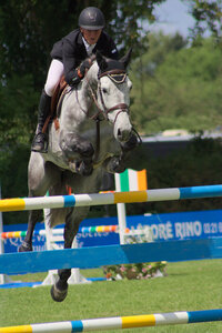 Jumping CSI*** Béthune 2017, IMG_9018