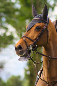 Jumping CSI*** Béthune 2017, IMG_9868