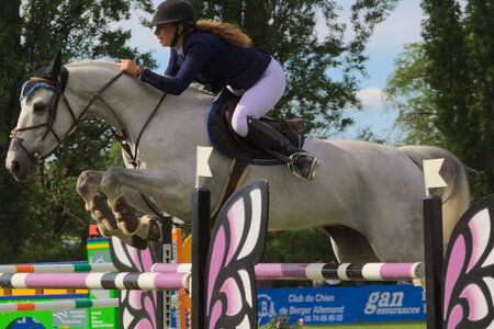 Jumping CSI*** Béthune 2017, IMG_9357