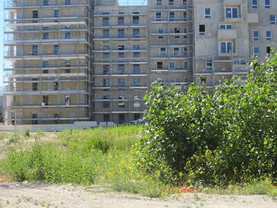 programme BNP Paribas immobilierastéria, IMG_2362
