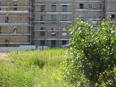 programme BNP Paribas immobilierastéria, IMG_2363