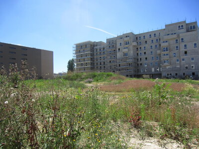 programme BNP Paribas immobilierastéria, STA_2359