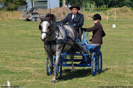 2017-06-10 CCA Saint Pierre Bénouville, 01-DSC_6690