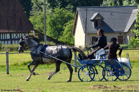 2017-06-10 CCA Saint Pierre Bénouville, 01-DSC_6701