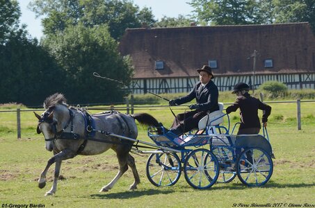 2017-06-10 CCA Saint Pierre Bénouville, 01-DSC_6707