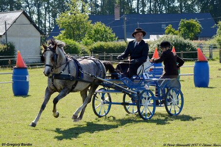 2017-06-10 CCA Saint Pierre Bénouville, 01-DSC_6709