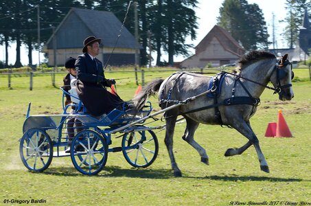 2017-06-10 CCA Saint Pierre Bénouville, 01-DSC_6713
