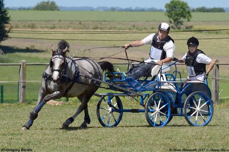 2017-06-10 CCA Saint Pierre Bénouville, 01-DSC_7082