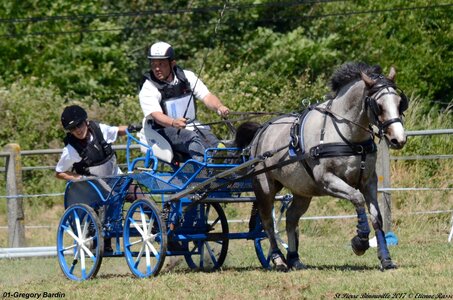 2017-06-10 CCA Saint Pierre Bénouville, 01-DSC_7083