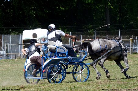 2017-06-10 CCA Saint Pierre Bénouville, 01-DSC_7097