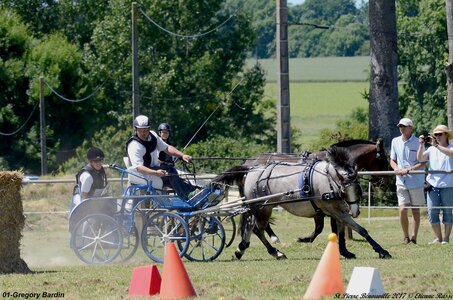 2017-06-10 CCA Saint Pierre Bénouville, 01-DSC_7104