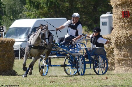 2017-06-10 CCA Saint Pierre Bénouville, 01-DSC_7110