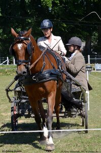 2017-06-10 CCA Saint Pierre Bénouville, 02-DSC_6863