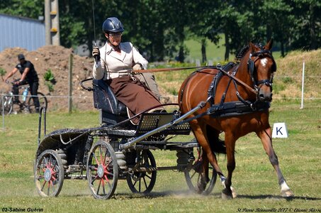 2017-06-10 CCA Saint Pierre Bénouville, 02-DSC_6865