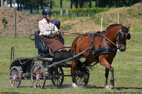 2017-06-10 CCA Saint Pierre Bénouville, 02-DSC_6888