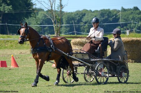 2017-06-10 CCA Saint Pierre Bénouville, 02-DSC_6907