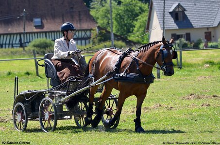 2017-06-10 CCA Saint Pierre Bénouville, 02-DSC_6925