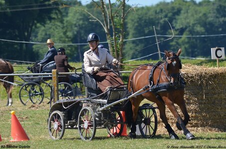 2017-06-10 CCA Saint Pierre Bénouville, 02-DSC_6926