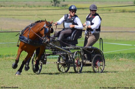 2017-06-10 CCA Saint Pierre Bénouville, 02-DSC_7235
