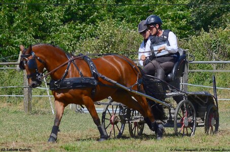 2017-06-10 CCA Saint Pierre Bénouville, 02-DSC_7237