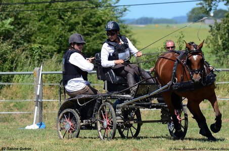 2017-06-10 CCA Saint Pierre Bénouville, 02-DSC_7241