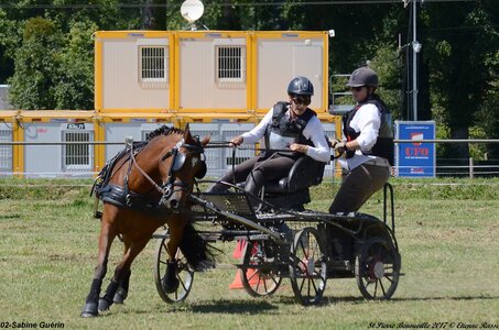 2017-06-10 CCA Saint Pierre Bénouville, 02-DSC_7253