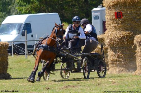 2017-06-10 CCA Saint Pierre Bénouville, 02-DSC_7260