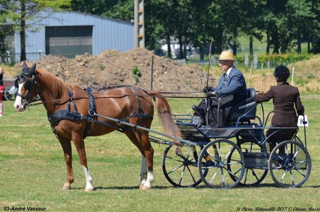 2017-06-10 CCA Saint Pierre Bénouville, 03-DSC_6900