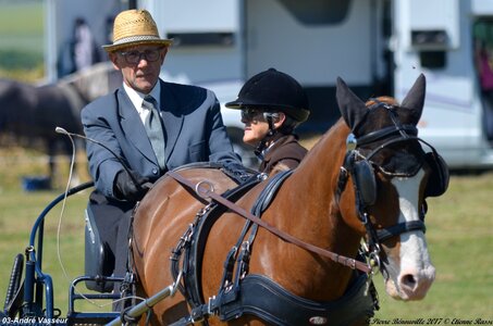 2017-06-10 CCA Saint Pierre Bénouville, 03-DSC_6901