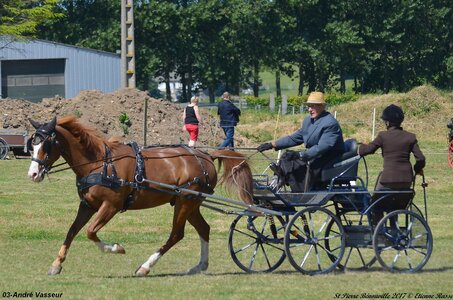 2017-06-10 CCA Saint Pierre Bénouville, 03-DSC_6904