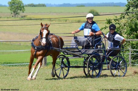 2017-06-10 CCA Saint Pierre Bénouville, 03-DSC_7271